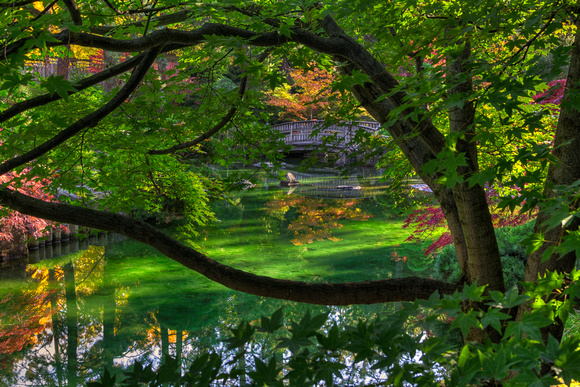 Framed Bridge -  Nishinomiya Japanese Garden