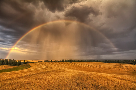 Harvest Rainbow