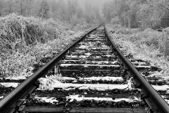 Frozen Illusion - Train Tracks Vanish  into Frozen Fog