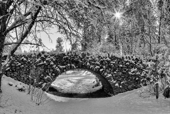 Canon Hill Park Winter - Black and White
