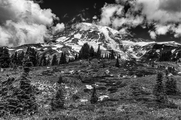 Mount Rainier Panorama Point Black and White