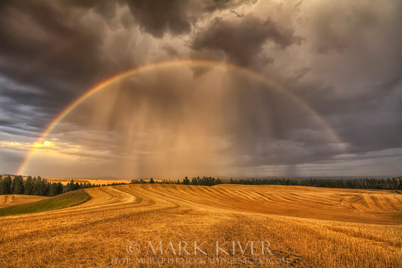 Harvest Rainbow